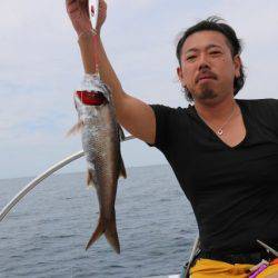 へいみつ丸 釣果