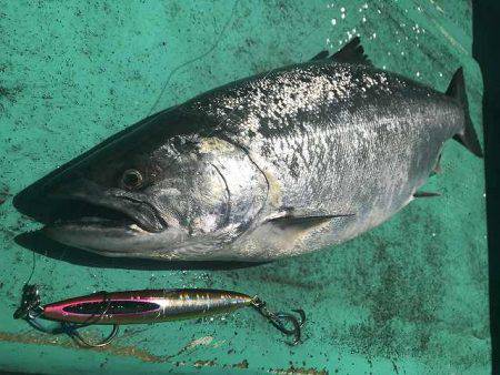 広進丸 釣果