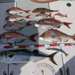 スカイマリン 釣果