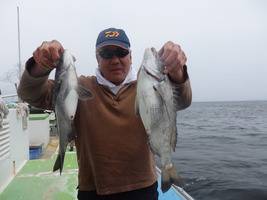 久里浜黒川本家 釣果