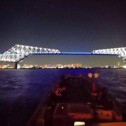 深川 吉野屋 釣果