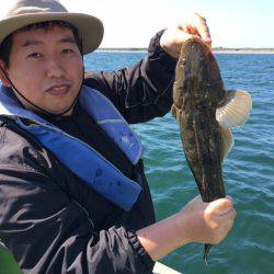 深川 吉野屋 釣果