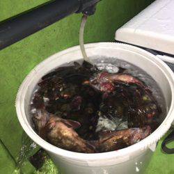 深川 吉野屋 釣果