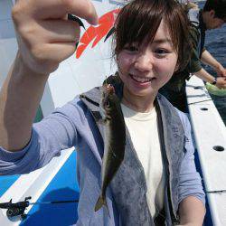 深川 吉野屋 釣果