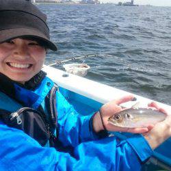 深川　吉野屋 釣果