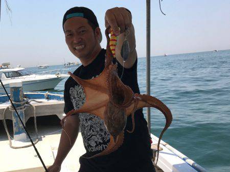 釣り船角田 釣果