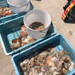 釣り船角田 釣果