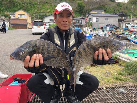 由良渡船 釣果
