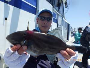 石川丸 釣果