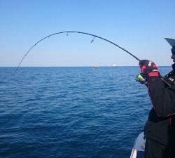 IDATEN(イダテン) 釣果