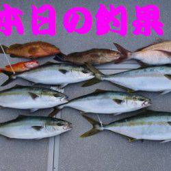 幸和丸 釣果