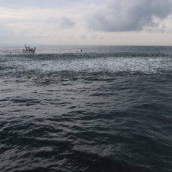 へいみつ丸 釣果