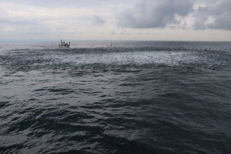 へいみつ丸 釣果