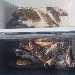 気仙沼　つり丸 釣果