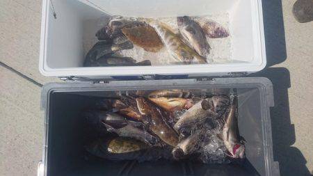 気仙沼　つり丸 釣果