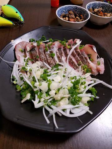 遊漁船　ニライカナイ 釣果