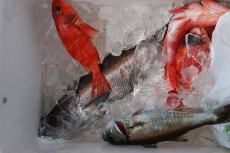 へいみつ丸 釣果