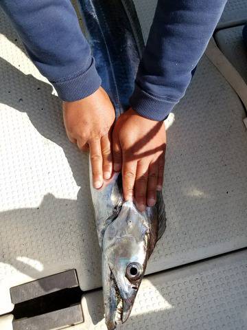 遊漁船　ニライカナイ 釣果