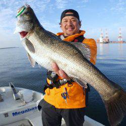 TOPGUN名古屋 釣果