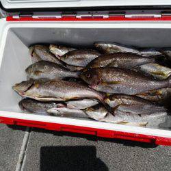 第二大福丸 釣果