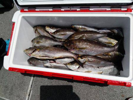 第二大福丸 釣果