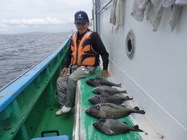 久里浜黒川本家 釣果