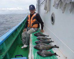 久里浜黒川本家 釣果