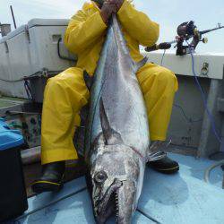 オーシャンパイオニア 釣果