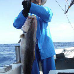オーシャンパイオニア 釣果