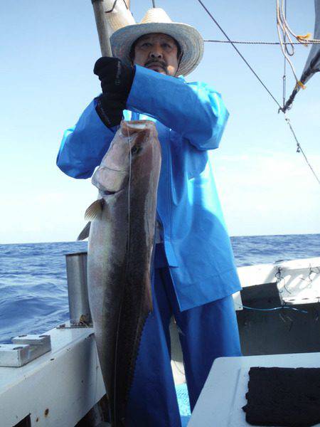 オーシャンパイオニア 釣果