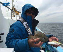 おざき丸 釣果