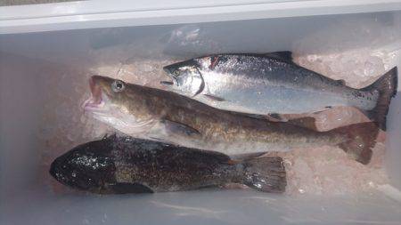 気仙沼 つり丸 釣果