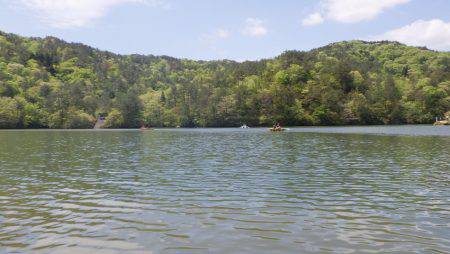 フィッシングレイクたかみや 釣果