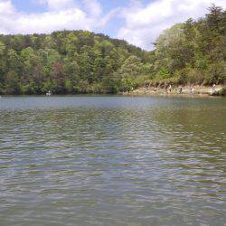 フィッシングレイクたかみや 釣果