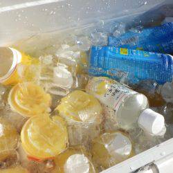 フィッシングレイクたかみや 釣果