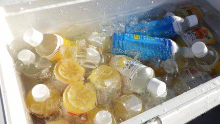 フィッシングレイクたかみや 釣果