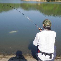 フィッシングレイクたかみや 釣果