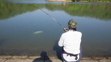 フィッシングレイクたかみや 釣果