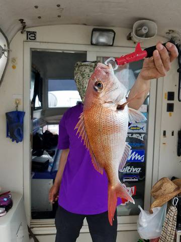 遊漁船　ニライカナイ 釣果