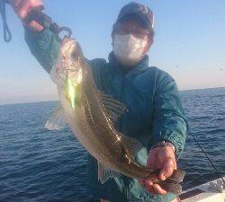 IDATEN(イダテン) 釣果