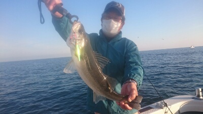 IDATEN(イダテン) 釣果