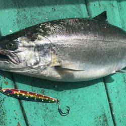 広進丸 釣果