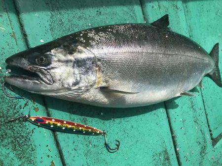広進丸 釣果