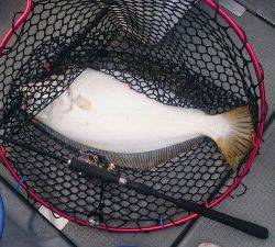 IDATEN(イダテン) 釣果