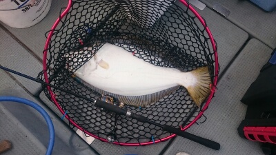 IDATEN(イダテン) 釣果