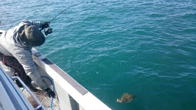 IDATEN(イダテン) 釣果