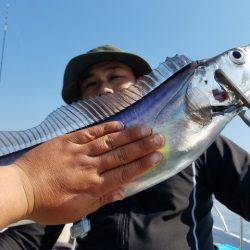 遊漁船 ニライカナイ 釣果