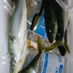 スカイマリン 釣果