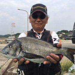 由良渡船 釣果