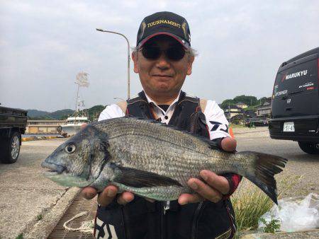 由良渡船 釣果